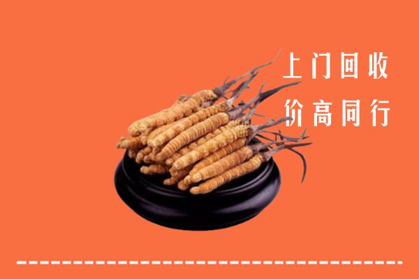 高价求购：新乐市回收散虫草
