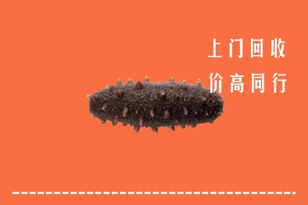 高价求购：新乐市回收海参