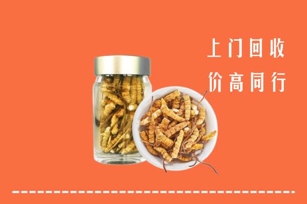 新乐市回收冬虫夏草