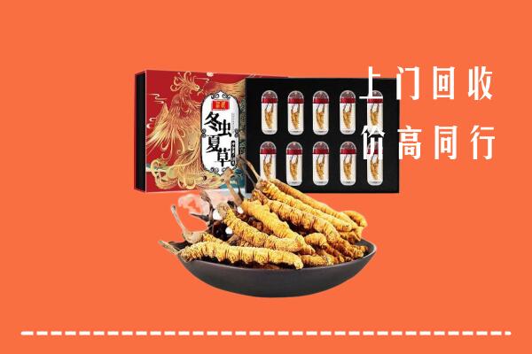新乐市回收虫草